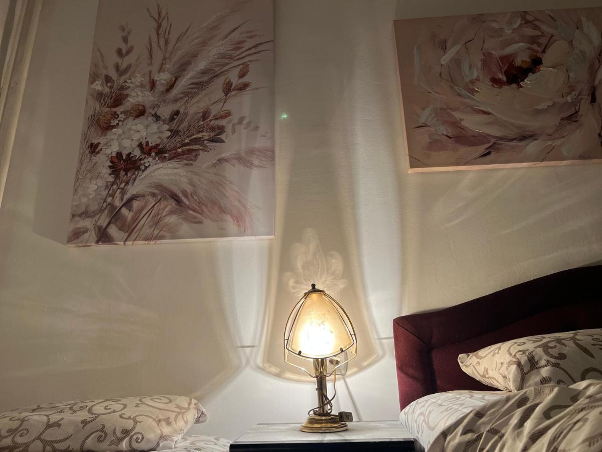 בלגרד Hardy'S Apartment מראה חיצוני תמונה