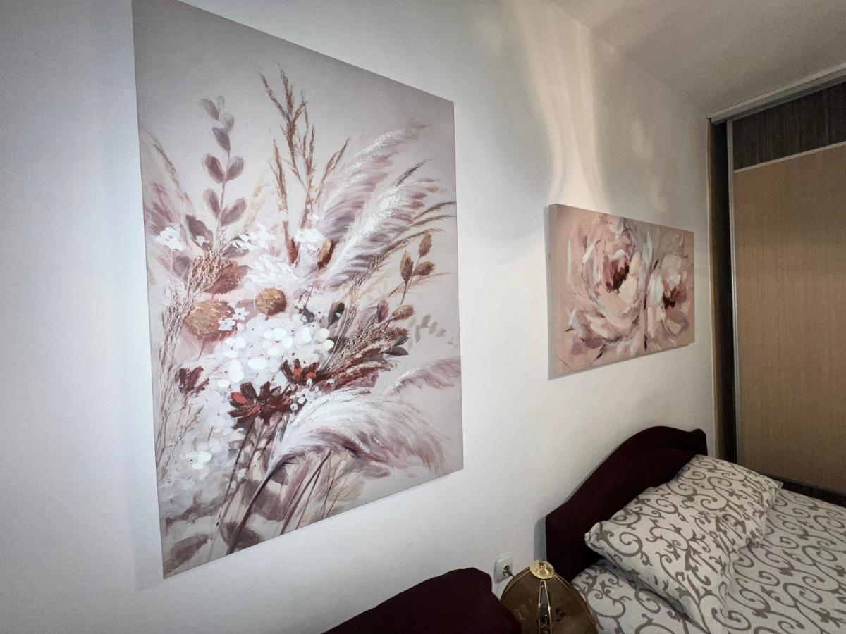 בלגרד Hardy'S Apartment מראה חיצוני תמונה